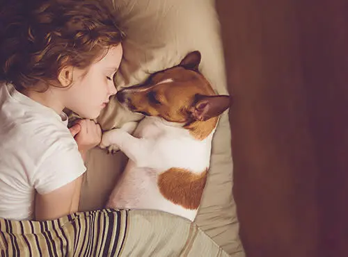 A child and a small dog sleep peacefully, thanks to effective soundproofing in the children's room.