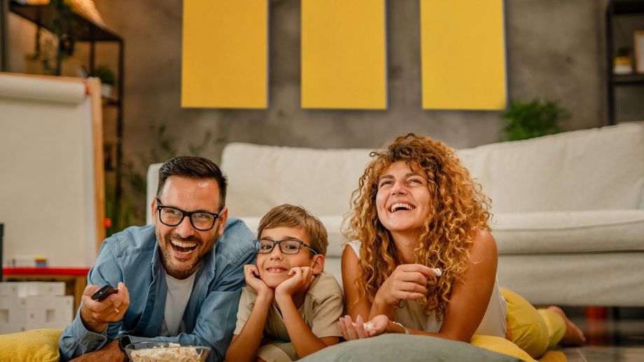 FELT Felt Sound Absorbers Reduce Reverberation in Living Spaces.